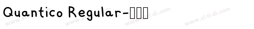 Quantico Regular字体转换